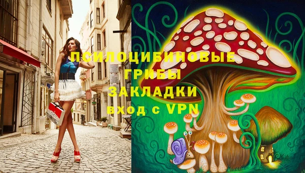 гидра Абинск
