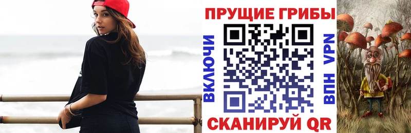 Галлюциногенные грибы MAGIC MUSHROOMS продажа наркотиков Томилино